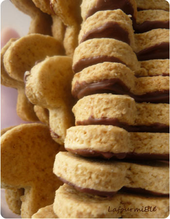 Biscuits granola